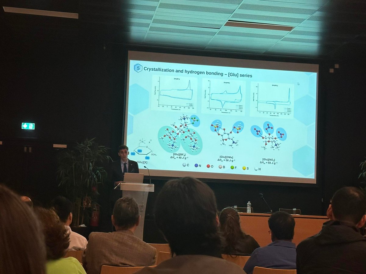 Another excellent day at the fantastic  COIL9! 
Super proud of my PhD student @BartlomiejGaida, presenting our recent research on the molecular interactions in bio-derived organic salts! #COIL9 @ChrobokGroup @K_Matuszek