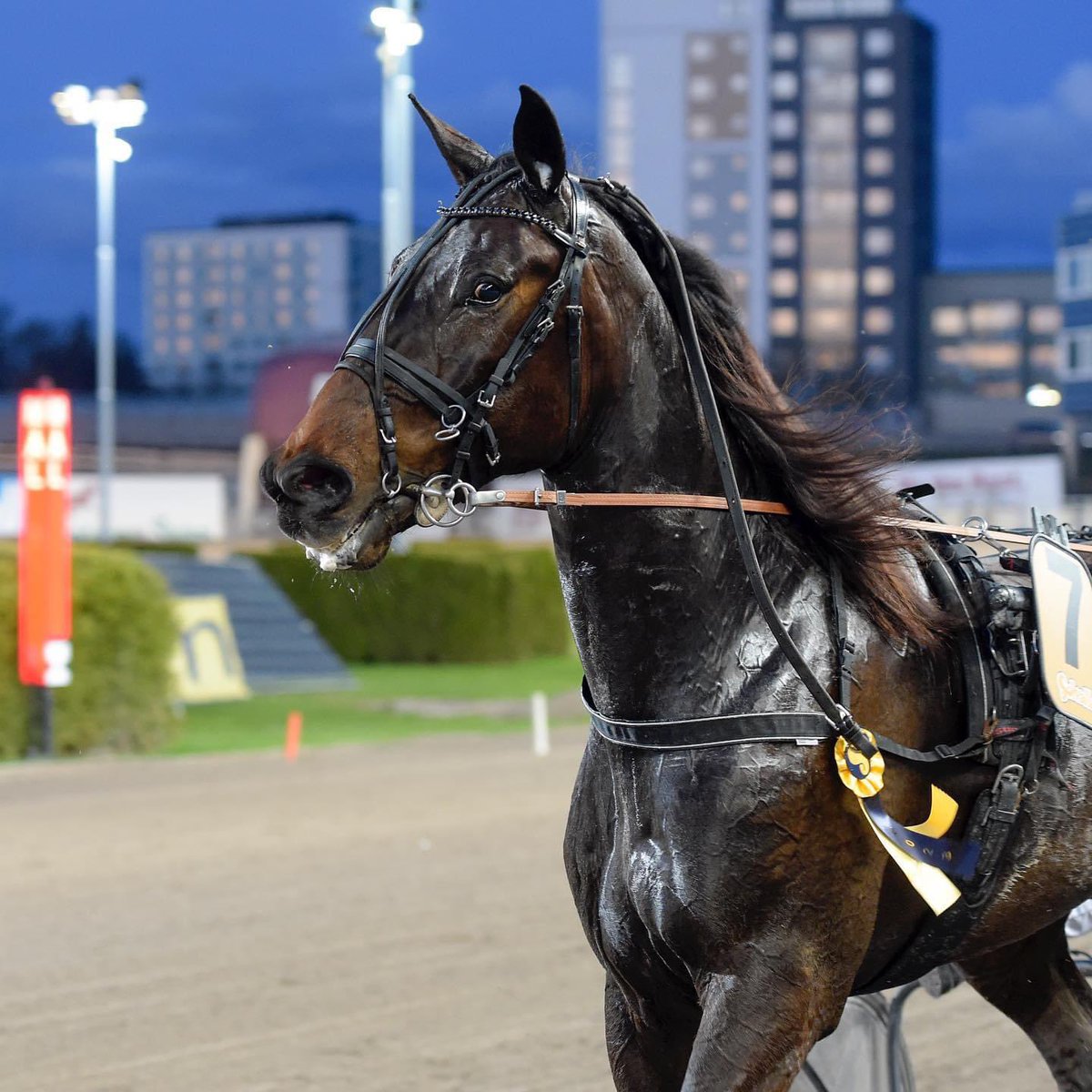 liindabergqvist's tweet photo. Embrace It igår. Anytimeisnow idag. Duktiga kompisar 🥇🥇✨ https://t.co/pf7Jve9Q26