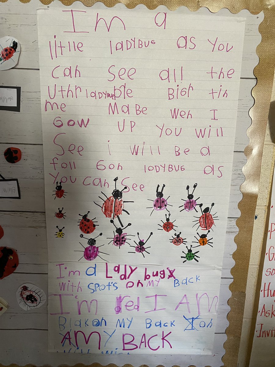 Mrs_Crawford's tweet photo. Our class ❤️’s our weekly poetry @StPatrickB so much that the s’s created their own poem about ladybug’s 🐞 We are so proud👏@HCDSB_k
#ladybuginquiry #learingthroughplay
#heggerty
#collaboration https://t.co/fkljVCA3ze