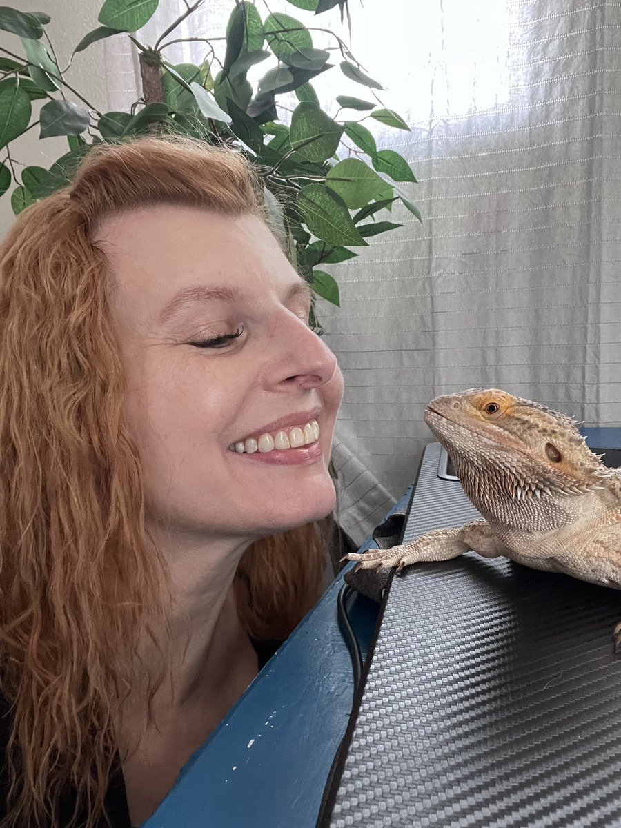 daelyn's tweet photo. Just hanging out with my little dinosaur. 🦎🥰 #beardeddragon #ilovereptiles https://t.co/EU2j0xPF8X