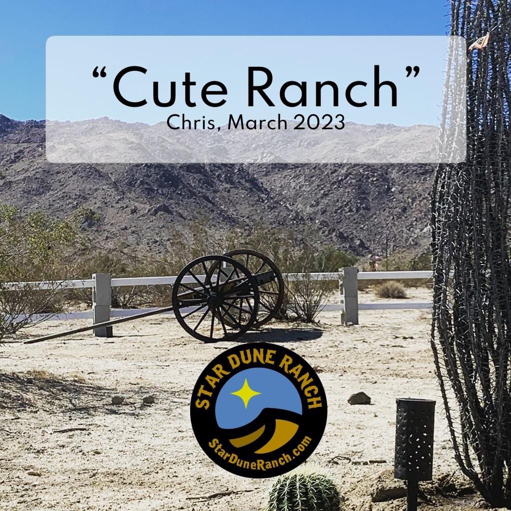 "Cute Ranch" - Chris, March 2023

Experience Star Dune Ranch for yourself! ✨🤠🌵

Click the link in our bio or starduneranch.com/quick-links/

#joshuatree #airbnb #travel #airbnbhost #vacation #booking #airbnbexperience #vrbo #vacationrental #holiday #nature #airbnbhomes
