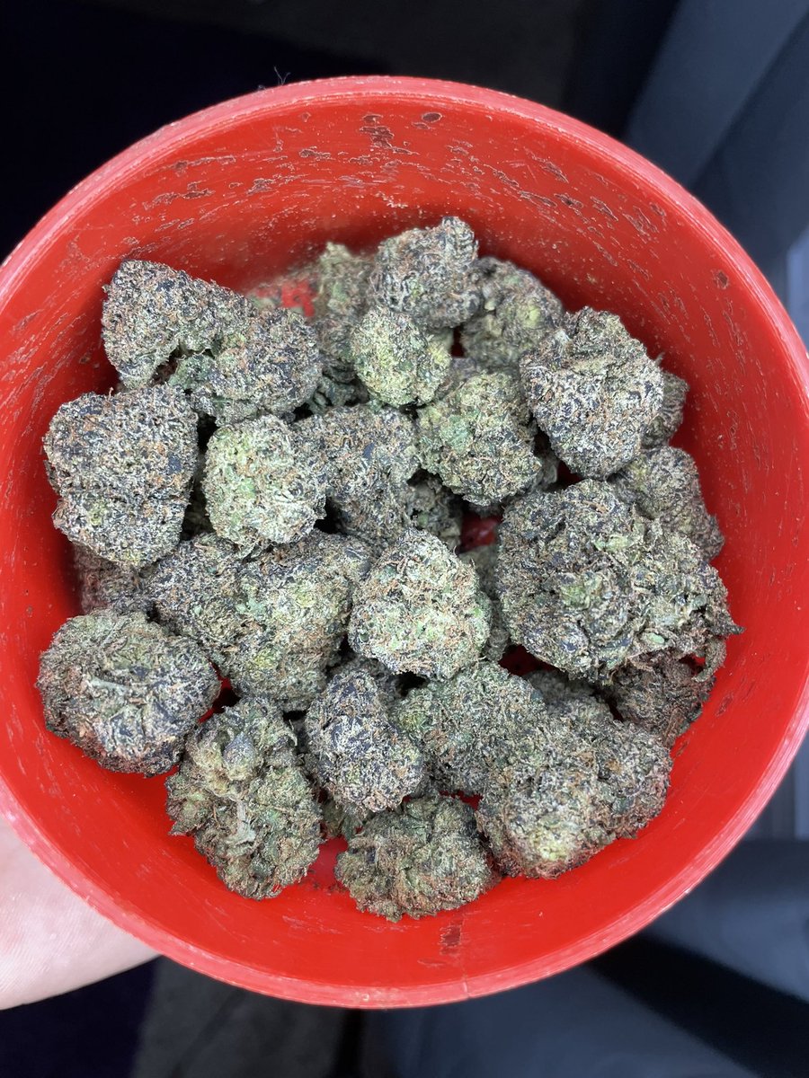 HoustonPlugGas's tweet image. Pink Boba ⛽️🧋#houstonplug #Houstonmeets #springplug #htx #houstonmeetup #houstongas #htxplug #htxgas #cypressplug #conroeplug #houstonfreaks #nfsw Come get right and not left!