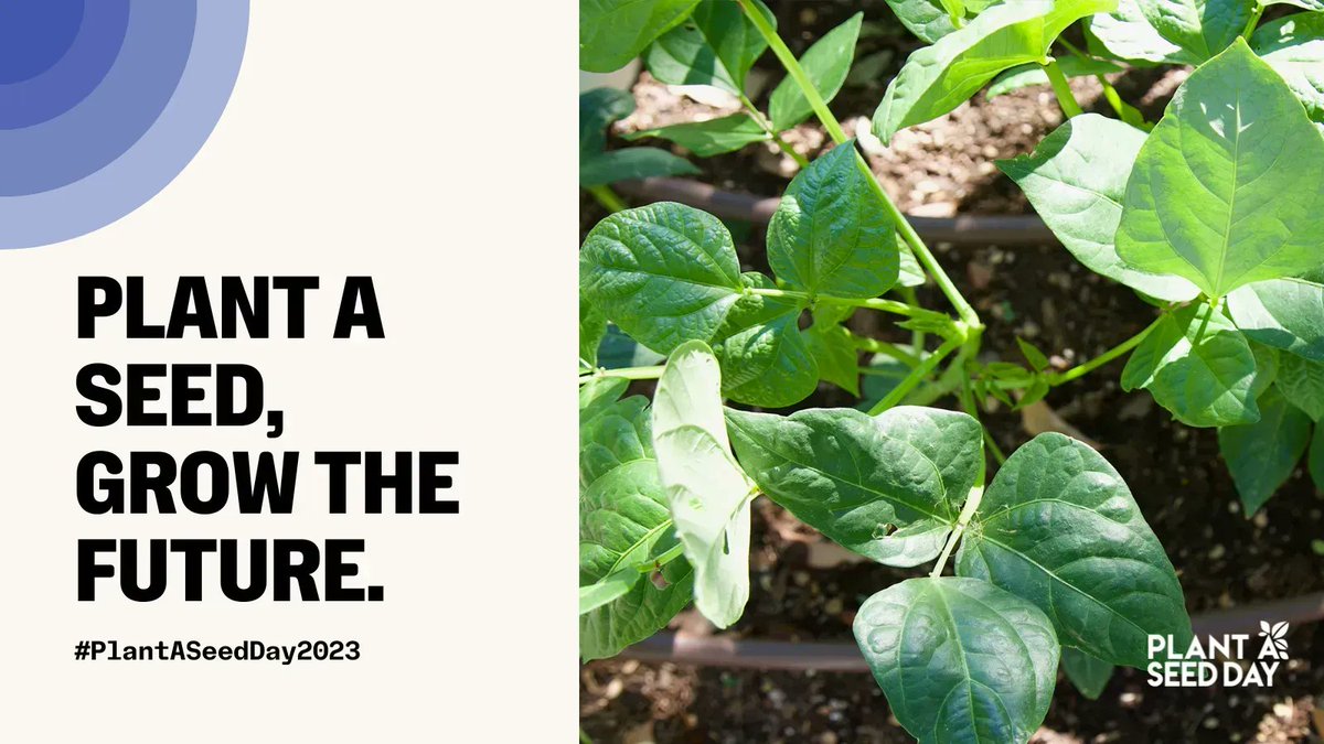 biggreen's tweet photo. Let's plant with intention, cultivate with care, and sow the rewards of a more sustainable future 💚 This Plant a Seed Day get out and grow with us!

Dig in: https://t.co/XQaIsXjoBa

#PledgetoPlant #PlantASeedDay https://t.co/FVahQgcvZE