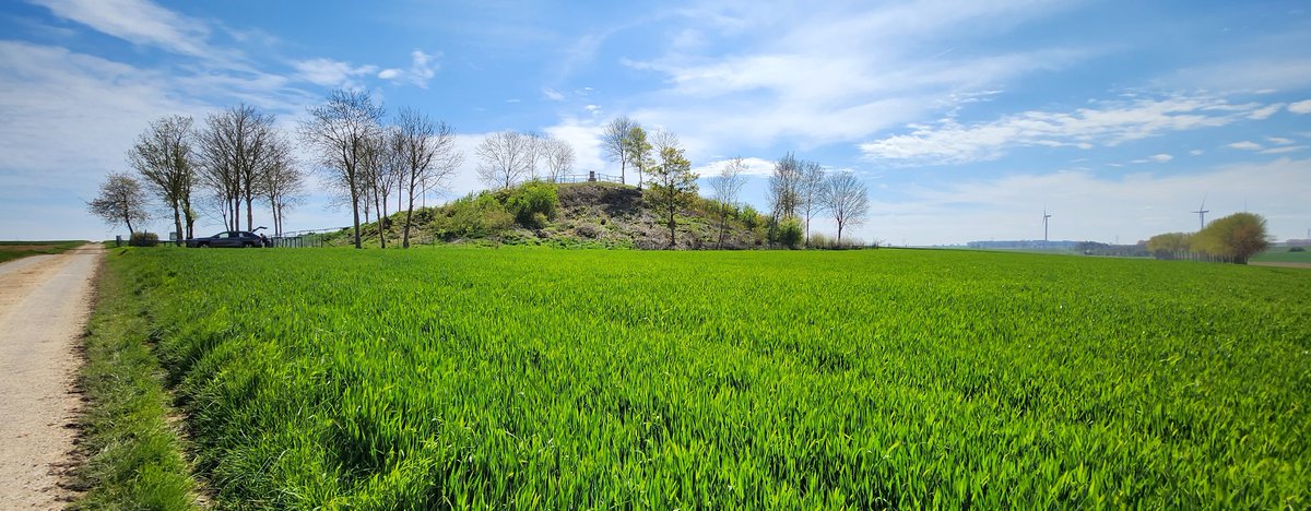 BBTLLP's tweet image. Another amazing day on our 1 to 1 tour. 9 hrs on the #battlefields of July 1916. Stops amongst many others included #Ovillers, @ButteDeWar, #Devonshire #Cemetery &amp;amp; #Fricourt #German #Cemetery. Topics included, #Artillery, #Remembrance, #HighGround #ShotAtDawn &amp;amp; many more. #TopDay