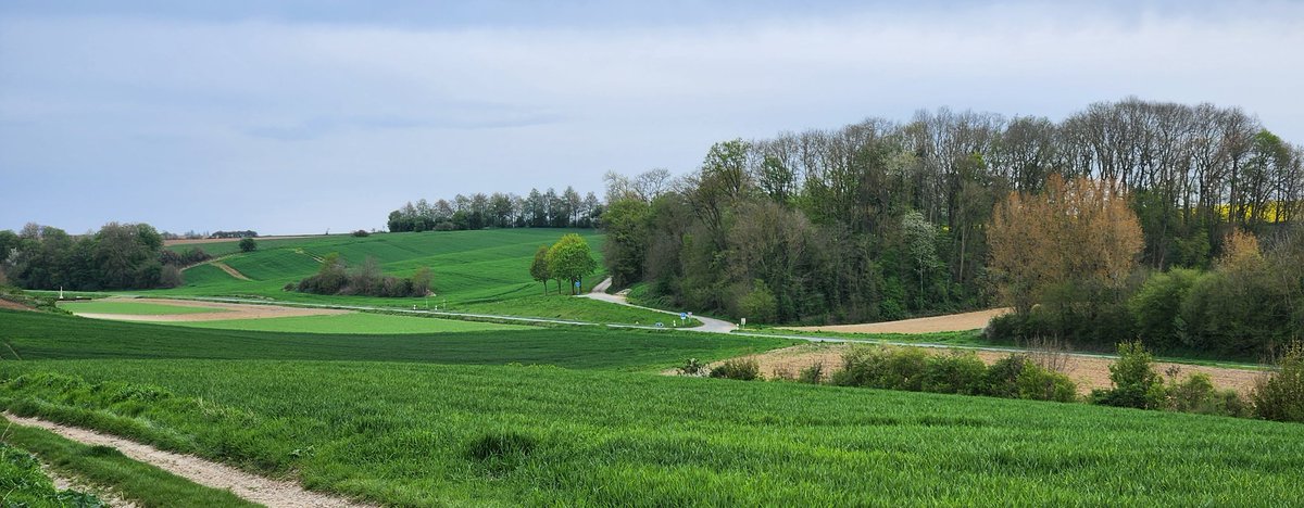 BBTLLP's tweet image. Another amazing day on our 1 to 1 tour. 9 hrs on the #battlefields of July 1916. Stops amongst many others included #Ovillers, @ButteDeWar, #Devonshire #Cemetery &amp;amp; #Fricourt #German #Cemetery. Topics included, #Artillery, #Remembrance, #HighGround #ShotAtDawn &amp;amp; many more. #TopDay