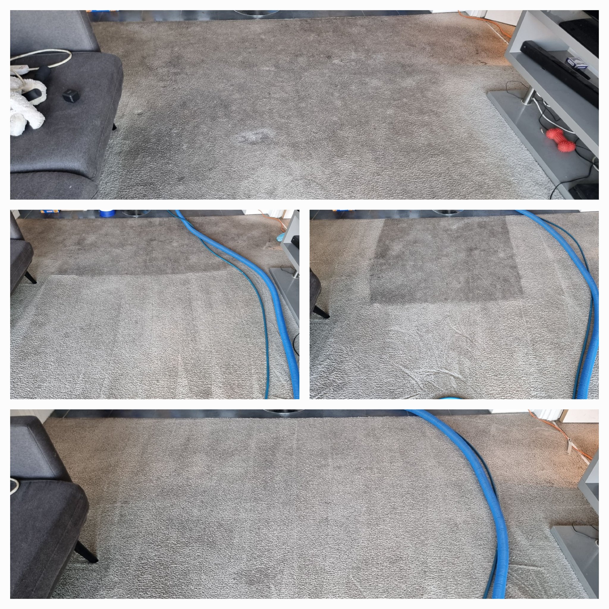 NataliaCarpetSheriff (NCarpetSheriff) / Twitter