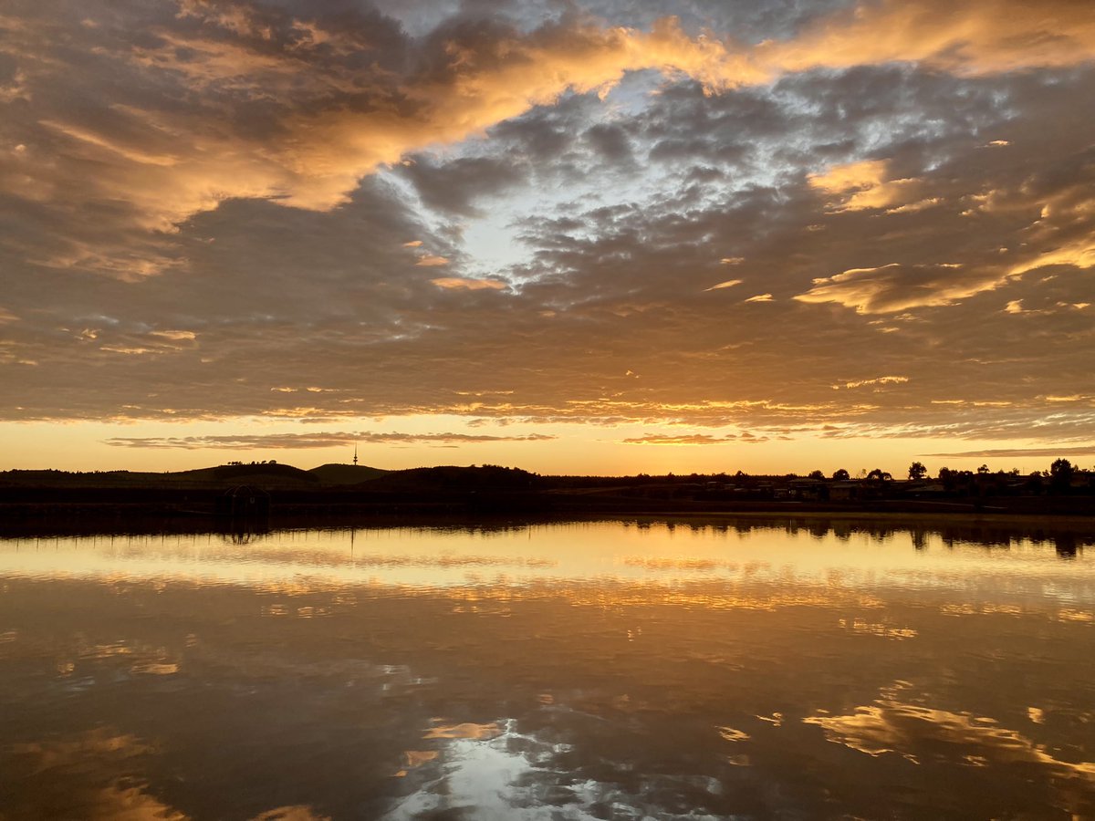 Dr Katie Grasha tweet media