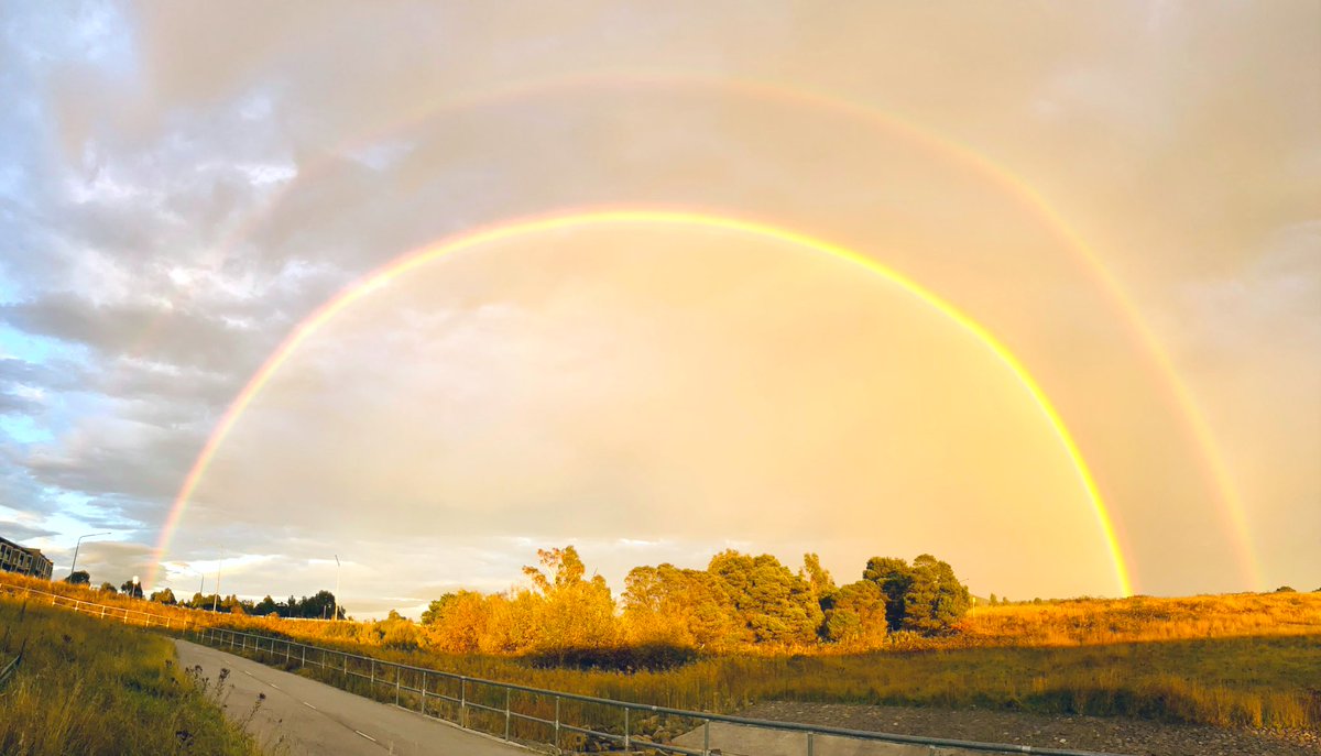 Dr Katie Grasha tweet media