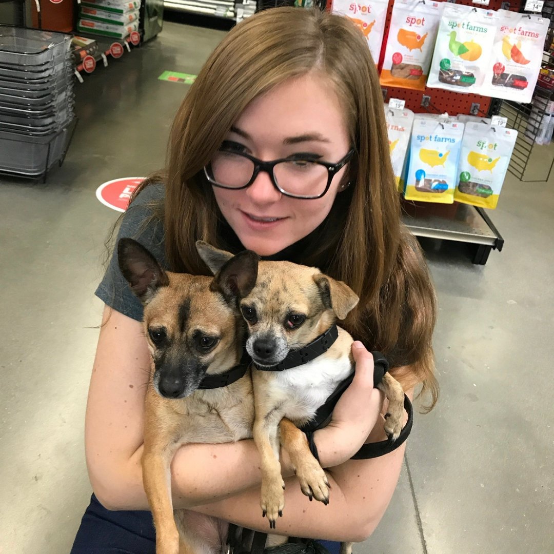 TailChasersLLC's tweet photo. This #NationalLittlePamperedDogDay we'd like to shine a light on our own Tiny Titans. We've talked about Lola, our brand inspiration, but now its time to meet Koda and Coco! The pampered duo that make every day adorably adventurous!

#littledogs #smalldogs #chihuahua #cutedogs https://t.co/h3isnQ4hry