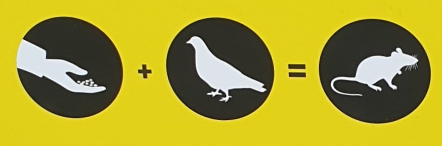 TetZoo's tweet image. To make rats, add beans and pigeons