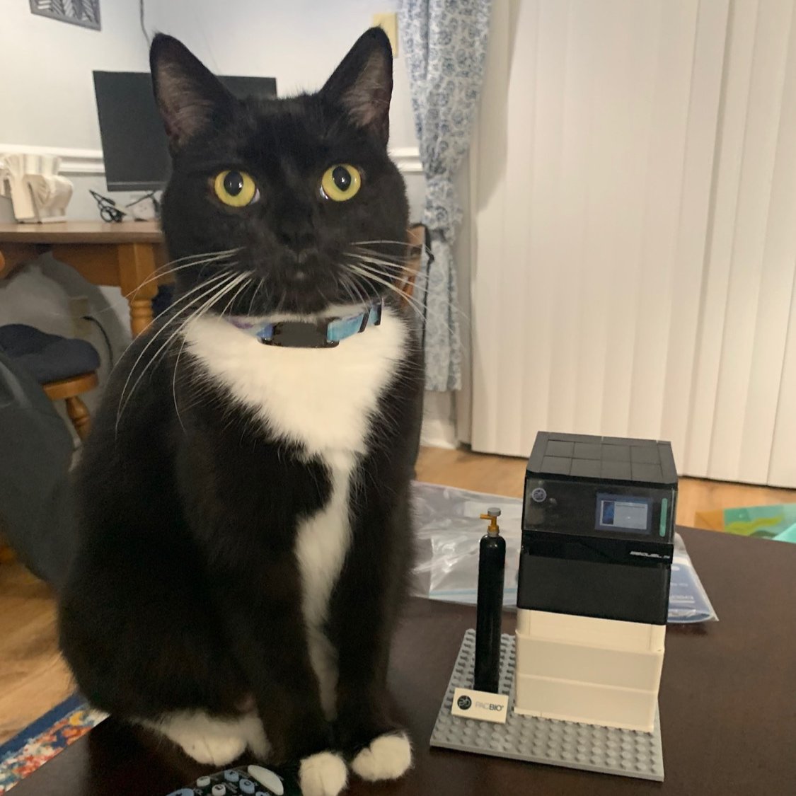 Rʜᴇᴛᴛ M. Rᴀᴜᴛsᴀᴡ 🐍 tweet media