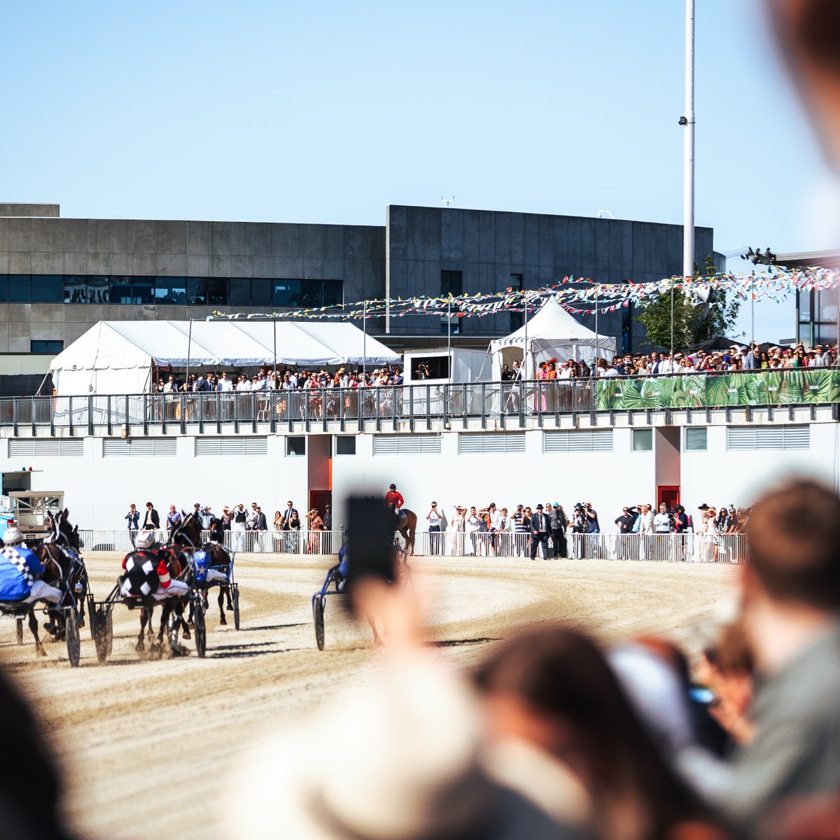AddingtonNZ's tweet photo. Only 200 days until IRT NZ Trotting Cup Day 👀🏆 https://t.co/chZ5jKEye6