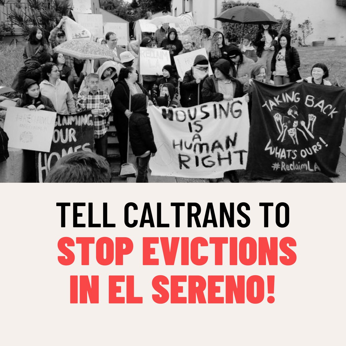 DSA-LA 🌹 tweet media