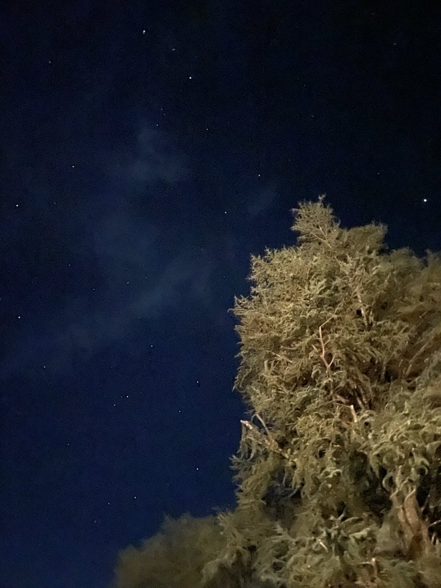 gfavey's tweet photo. The beautiful starry night in Creuse!
#creuse https://t.co/oe1pA1Zrd1