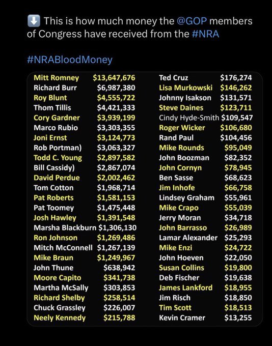 EGreen30655694's tweet image. NewsFlash MAGAPARTY #2024Election in regards to #GunViolence I will never forget...and make sure you are #VotedOut those who put the lives of people over profit from the #NRA