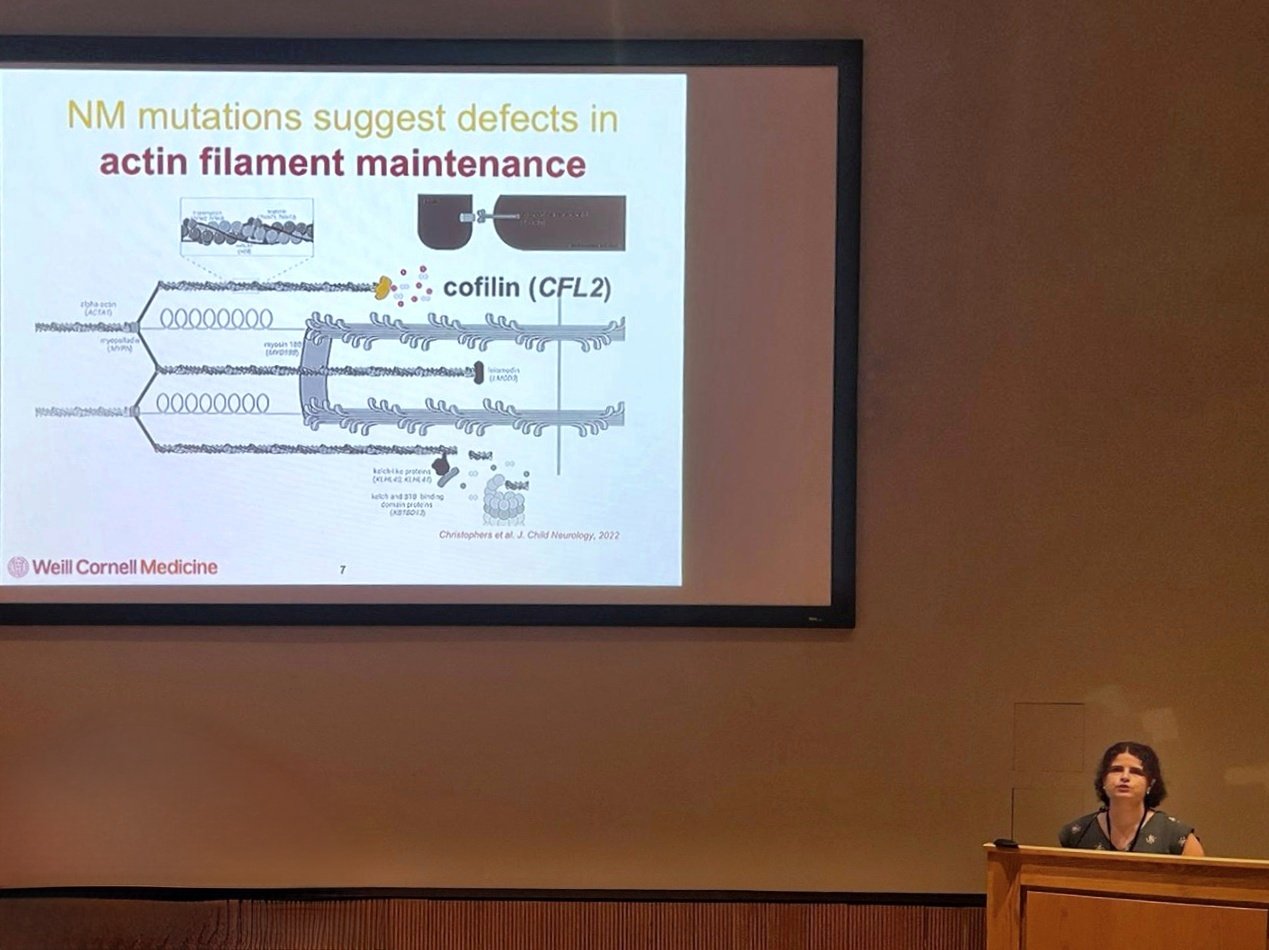 Bri Christophers presenting with a large screen that reads "NM mutations suggest defects in actin filament maintenance"