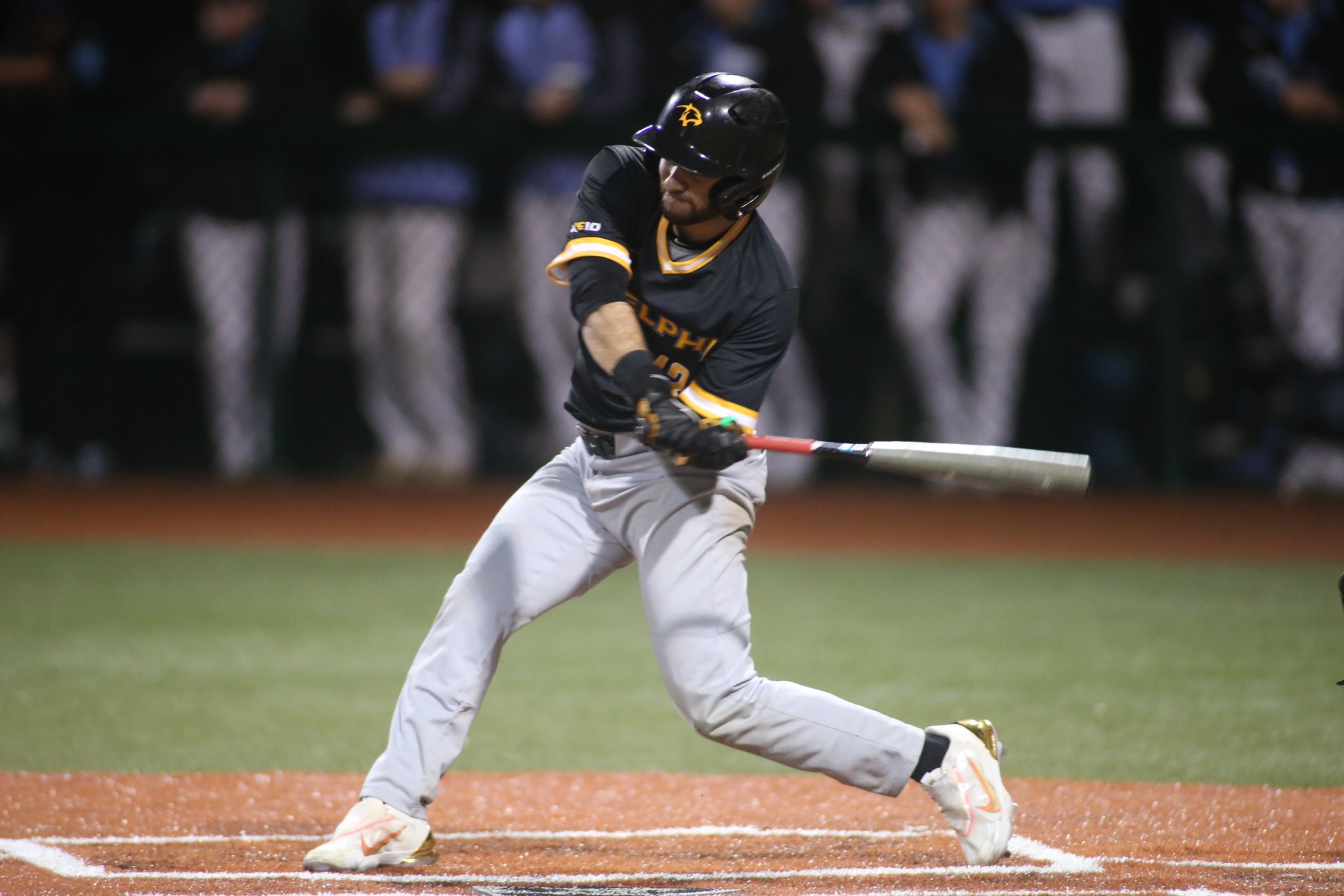 Adelphi Baseball (AdelphiBaseball) / Twitter