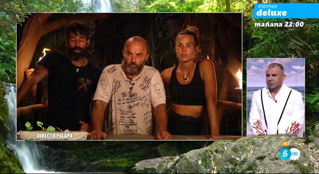 La Rana Verde tweet media