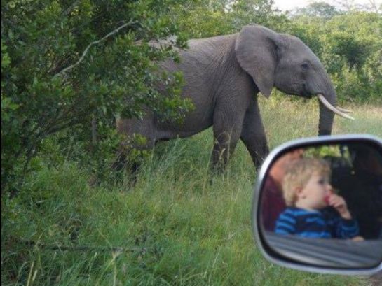 Take your kids to Africa!?!? Really! - mailchi.mp/bebevoyage/tak… Are you toying with the idea of putting African countries on your bucket list but are wondering if it's even possible with kids? <a href="/SANParksKNP/">Kruger National Park</a>
<a href="/KirstenboschNBG/">Kirstenbosch Garden - Official</a> <a href="/Tourism_gov_za/">Dept of Tourism</a> <a href="/Min_TourismKE/">Ministry of Tourism and Wildlife</a> #familytravel