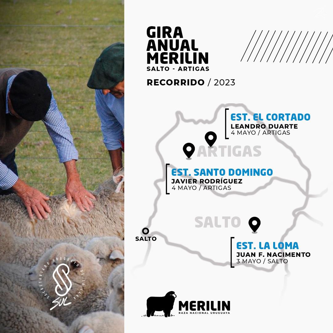 merilinuy's tweet photo. Se viene la Gira Anual de la Sociedad de Criadores de MERILIN.
Este año visitamos los departamentos de Salto y Artigas.
Los esperamos.
#razanacionaluruguaya
#MERILIN
@merilinuy https://t.co/YQTMxk7cne
