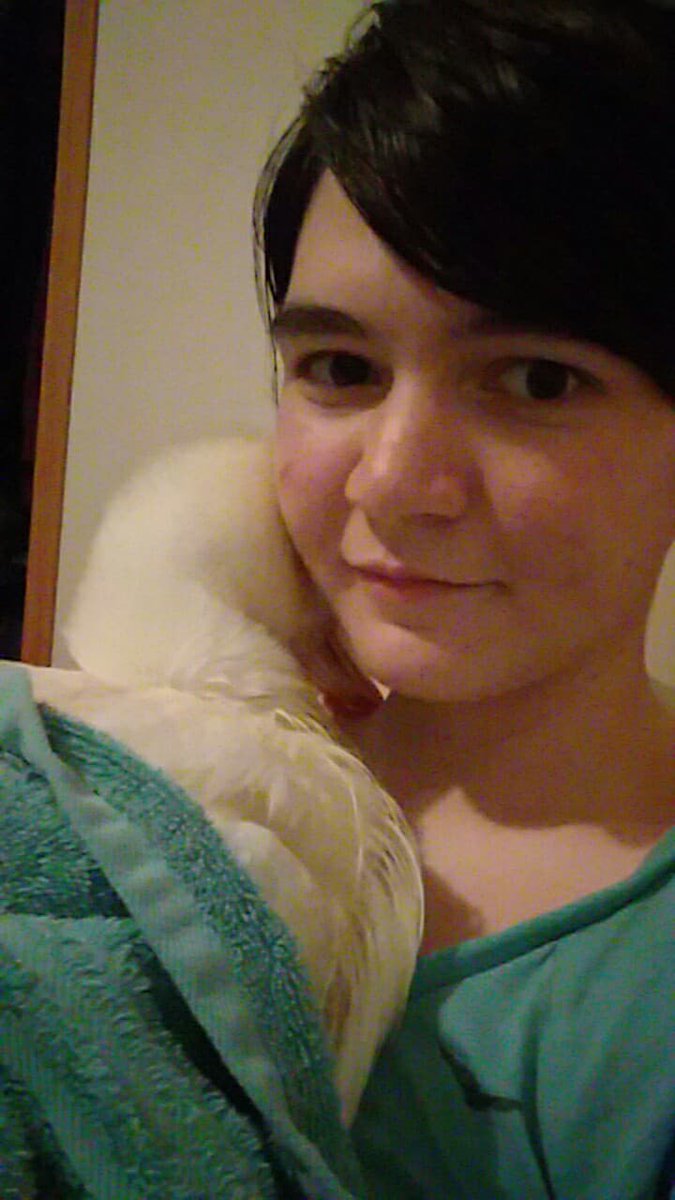 KitkatKateDraco's tweet photo. Audrey overcame illness that was supposed to kill her when she was just under a year old. Two years later, she finally went in her sleep.
She loved peas and being held. I'm going to miss my cuddly, yellow duck.
#iloveyou #ducks #pets https://t.co/VkjSLoq0K6