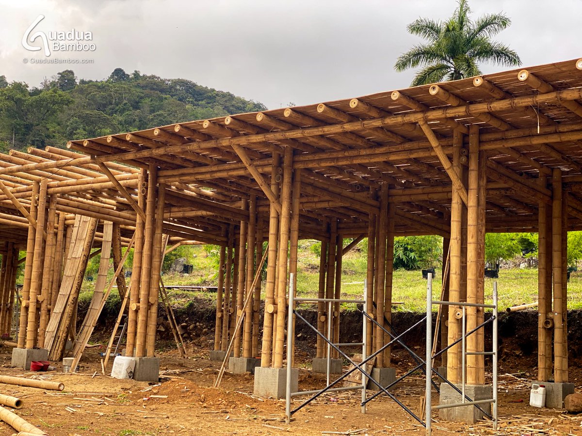 GuaduaBamboo's tweet photo. Flattened Guadua Bamboo Mats are one of the best natural insulation materials. They are 100% manually produced, affordable, very strong and super ecological. Oh yes and they look awesome too! #guadua #bamboo #colombia #bambooconstruction #bambooarchitecture https://t.co/QK6V9V8vkP