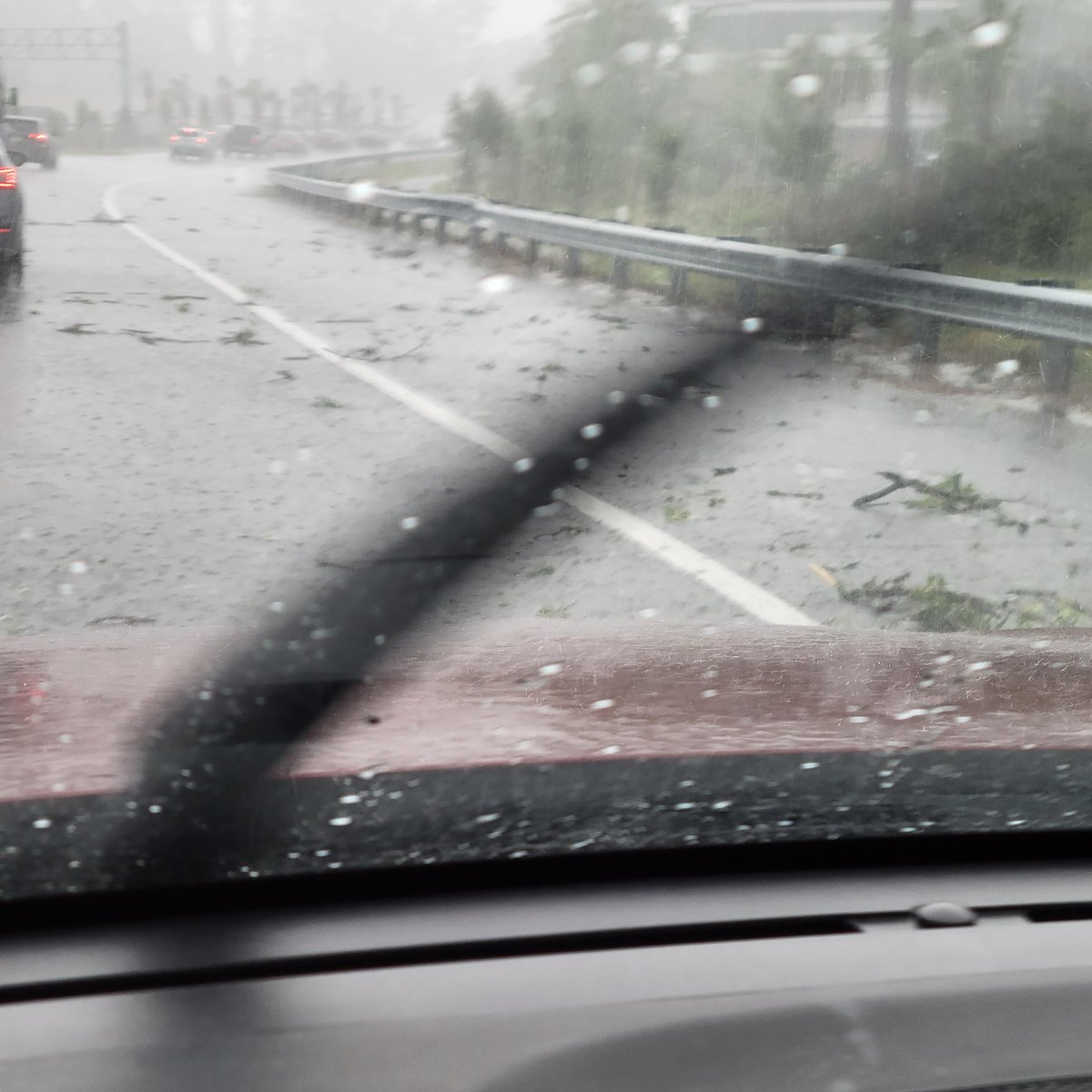 Tinkerbell1756's tweet photo. @MikeFirstAlert @ActionNewsJax @WOKVNews We were stuck on the on-ramp from San Jose to I-295 North/West. It felt like we were in a hurricane with the strong wind &amp; rain hitting car. Tree limbs, leaves, and debries all over. Tru by Hilton had their sign torn up. Do you know if they closed the Buckman? https://t.co/lOL8VXzgHQ