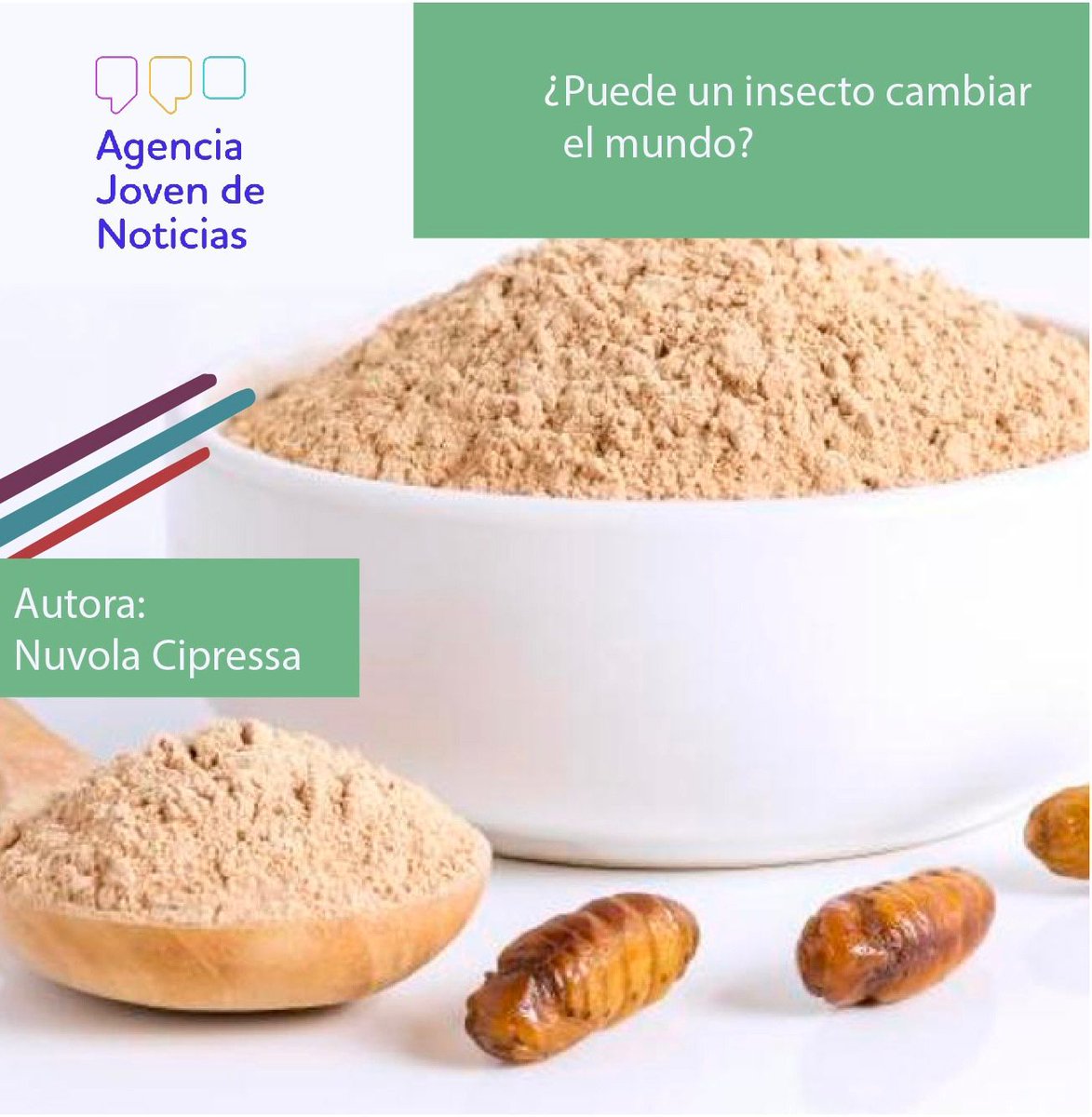 AjinEspanol's tweet photo. 🖐Incluir insectos en la dieta humana genera debate en Europa, La UE ha estado trabajando en este proyecto, el tenebrión molinero🐛
@youthpressagency @stampagiovanile
@ajnportugal @agencia.jovem
@climalab @youthpressagency @stampagiovanile @ajnportugal
@agencia.jovem @climalab https://t.co/FIfKq12wRt
