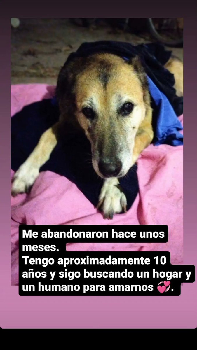 San Luis 🙏