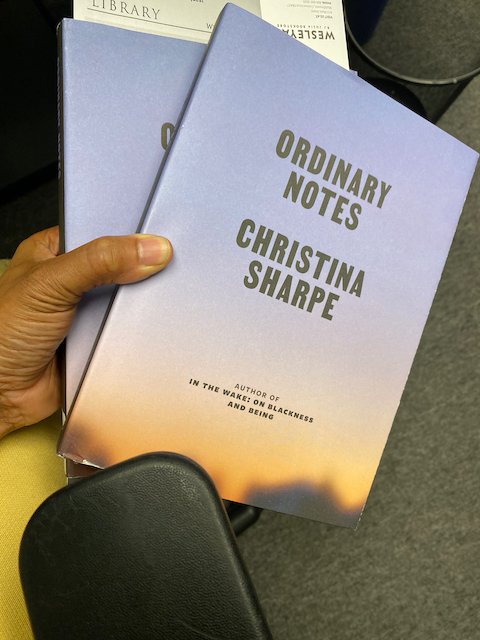 Tracy Heather Strain tweet media