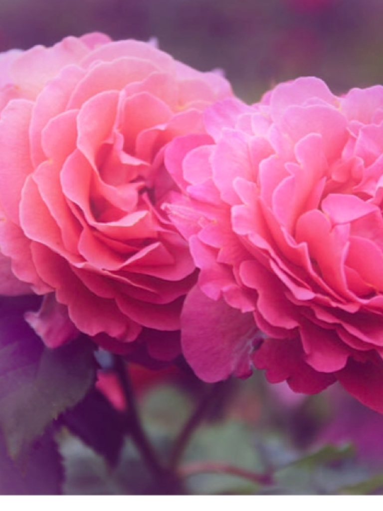 Saying hello, hoping all is well Twitter friends &amp; family, another cloudy one, rinse &amp; repeat with week ahead looking rain rain go away, trying to keep busy with helping those in need, it's a beautiful feeling one gets when doing your best to give happiness to others ✨💁✨