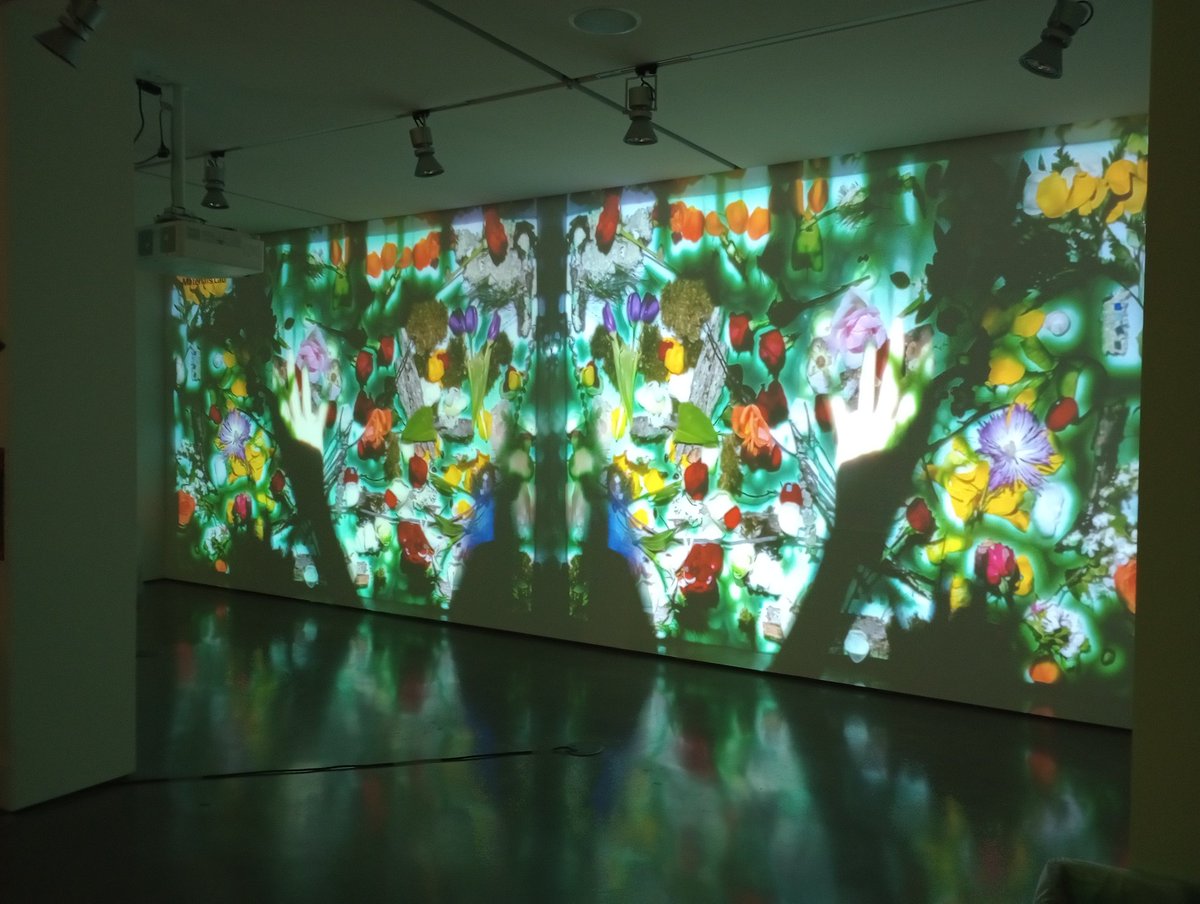 ClearVoidVisuals tweet media