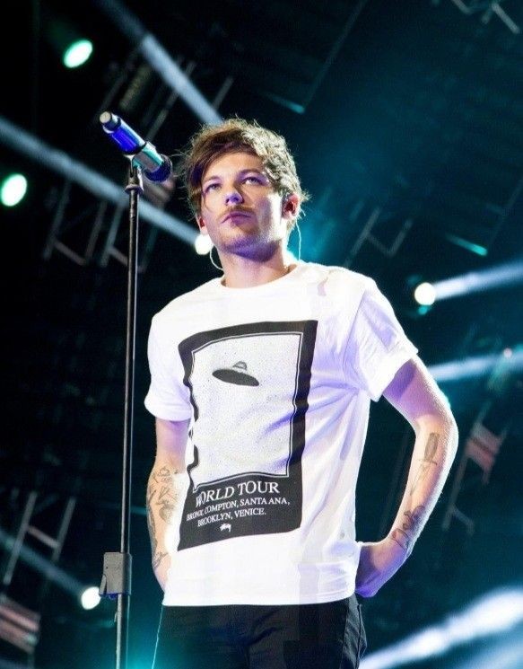 louis hedgehog (@lhdgehog) on Twitter photo 