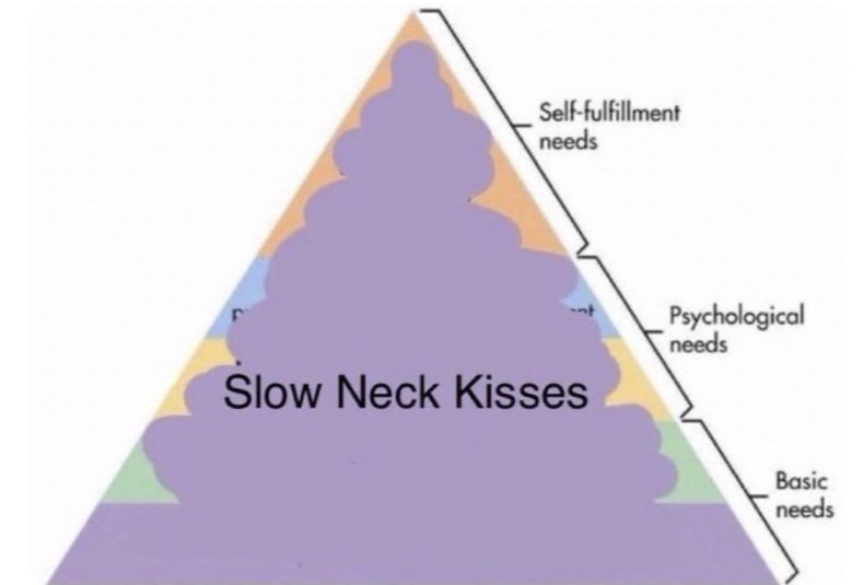 not cute & kinky memes (@cravedcuddle) on Twitter photo 