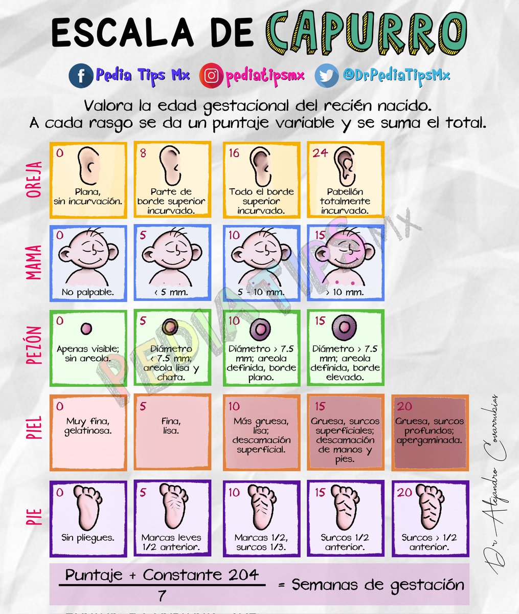 DrPediaTipsMx's tweet photo. Otra escala utilizada al nacimiento, es la de Capurro. 👶🏻

Mediante la evaluación de 5 rasgos físicos del recién nacido, nos permite calcular su edad gestacional. 🤰🏻

Te compartimos una breve infografía al respecto. Si te es útil, no olvides comentar, compartirla y guardarla. 😉 https://t.co/MCC2VF5R9w