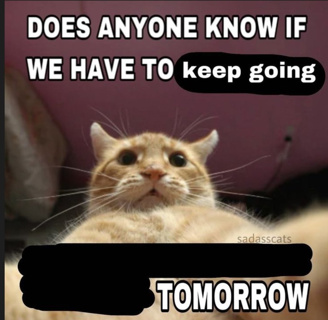 literallymecats's tweet photo. https://t.co/UwZYuge65p