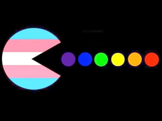 stratisxx's tweet photo. @genderisharmful This is the end of the TQ+ community. They need to go. 

The LGB community knows the definition of a woman. Countless gay men told their parents they are not 'into women' when we came out of the closet. If the TQ+ community is against women, I am against the TQ+. https://t.co/N0aUA83NBn