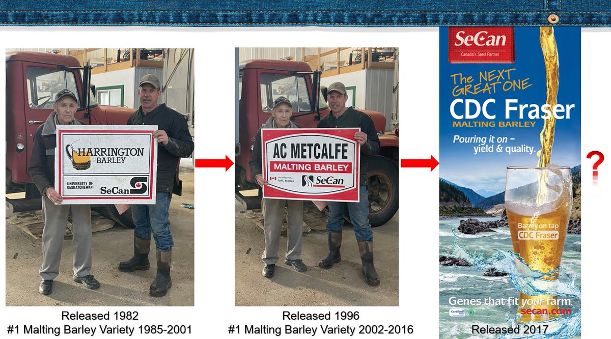SeCanLauren's tweet photo. For those who tried answering my #ThrowbackThursday questions, here are the answers! Pretty impressive variety @CDC_USask ! Looking forward to seeing what impact #TheNextGreatOne #CDCFraser can make on the malting world ๐ป Get your #plant23 seed today from your local seed grower https://t.co/TLIgi8ofCY