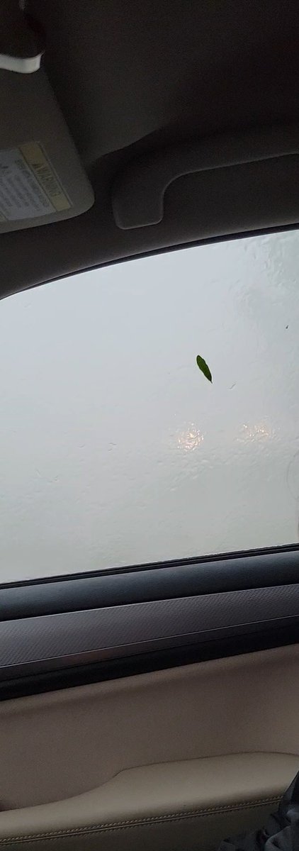 Tinkerbell1756's tweet photo. @DavidHeckard @wjxt4 We were stuck on the on-ramp from San Jose to I-295 North/West. It felt like we were in a hurricane with the strong wind &amp; rain hitting car. Tree limbs, leaves, and debries all over. Tru by Hilton had their sign torn up. https://t.co/ewd7nOmhFb