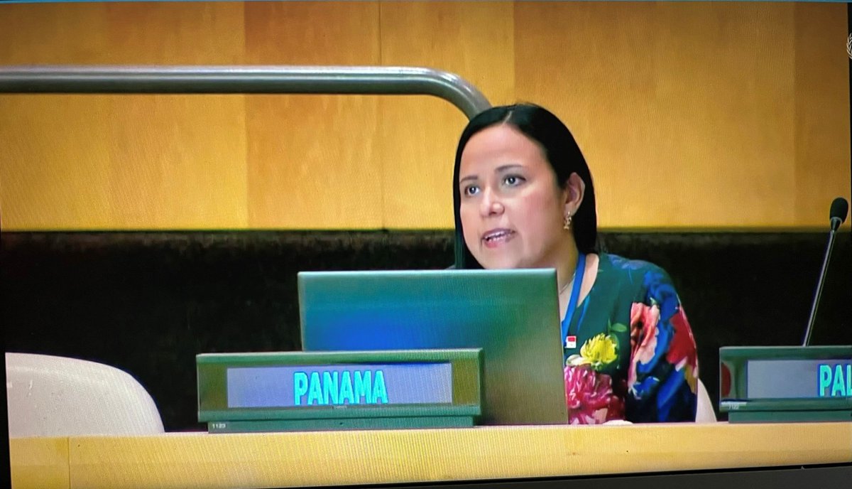 panamaonuny's tweet photo. Durante las Consultas informales sobre la Cumbre del Futuro la delegación de @Panama_UN resaltó la importancia de reconstruir la confianza en el multilateralismo, que nos permita trabajar de manera articulada y así garantizar los derechos de todos. https://t.co/AxxgEA0U9C