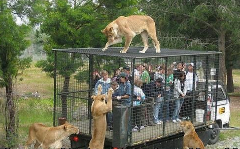 Lacey London tweet media