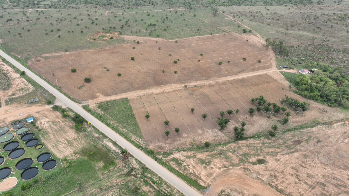 🚜ASOPROPASO es la asociación que lidera y ejecuta las labores de arado y fertilización del terreno para iniciar la siembra.

☝🏼Seguimos avanzando con nuestros proyectos productivos de alto impacto, para impulsar la #TransformaciónProductiva del #Cesar.

#JuntosLogramosMás