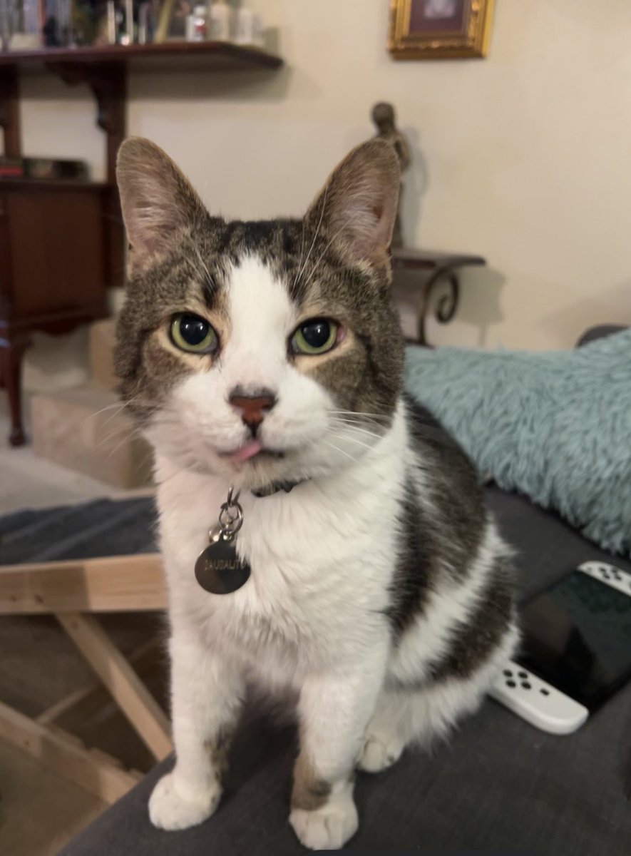 patio furniture tweet media