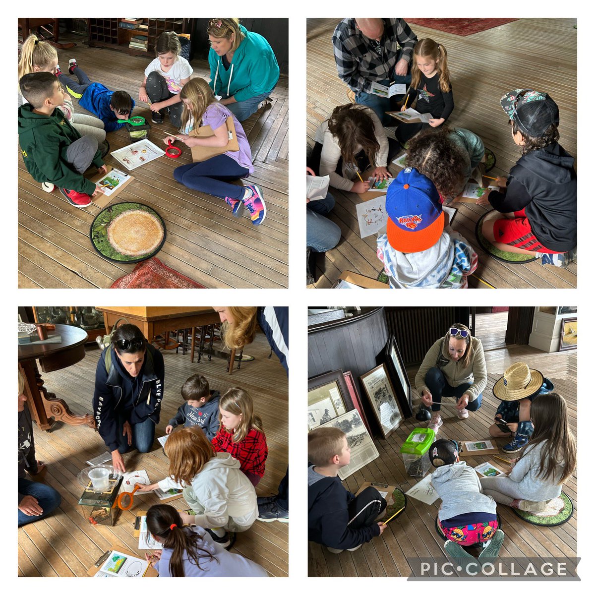BPESchool's tweet photo. It looks like the second graders had an amazing time on their field trip to Connetquot State Park. @MrsMillsbpe @mrs_antico https://t.co/qNznpVy611