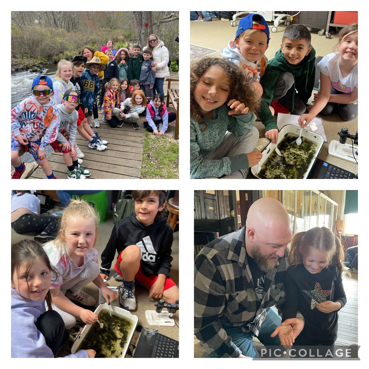 BPESchool's tweet photo. It looks like the second graders had an amazing time on their field trip to Connetquot State Park. @MrsMillsbpe @mrs_antico https://t.co/qNznpVy611