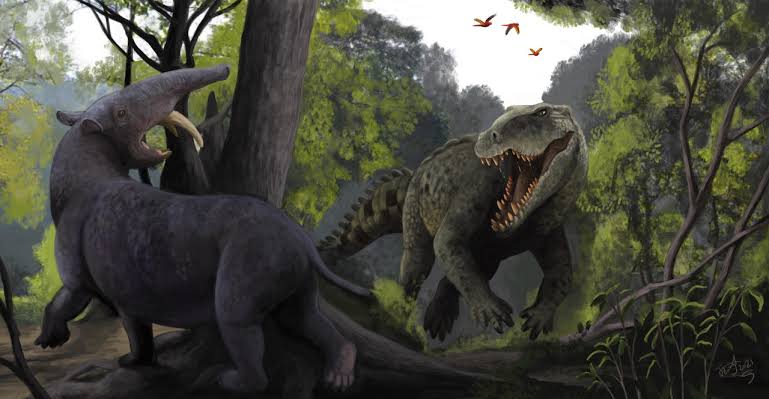Sebecids Sebecids were land dwelling crocodylomorphs that had skulls and teeth ...