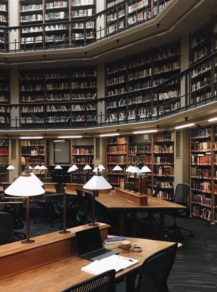 SnowlandSchool's tweet photo. Librería. https://t.co/EzQn7uYGwz