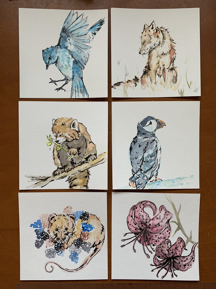 solexposure's tweet photo. Two more “littles” added! A very happy mouse surrounded by berries &amp; some pink tiger lilies. All 6 are available! https://t.co/QSixEHMAfR