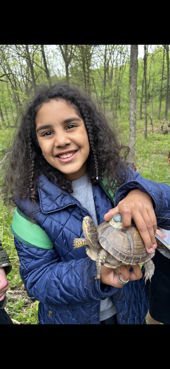 PrinOutdoorEd's tweet photo. The Turtle Tracking Club @PrincipiaSchool found two of our tagged turtles today: Dino and Star.  They did a great job handling them and being curious!

#handsonlearning
#outdooreducation
#outdoorlearning 
#turtletracking https://t.co/mwbhQCTakx