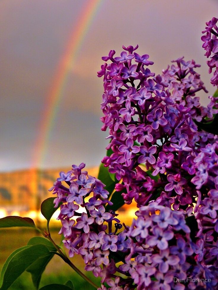 "Fe inne meâl usri yusra"
"Elbette zorluğun yanında bir kolaylık vardır"
Rabbine güvenki çiçek açsın umutların
Allah'ım kulların darda kulların zorda 
Zorluğumuzu kolay eyle 
Özgürlük bekleyen kader mahkumlarını tez vakitte kurtar selamete çıkar 
Aminn
#HayırlıCumalar